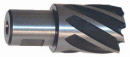 Standard HSS Rotabor Cutter